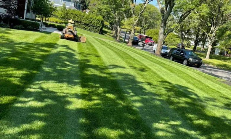 Garden Design Firms