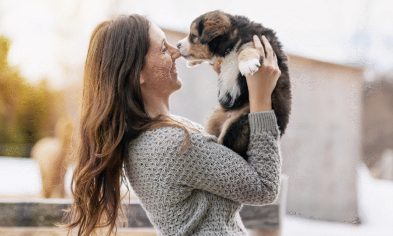 Dog Pets for Sale