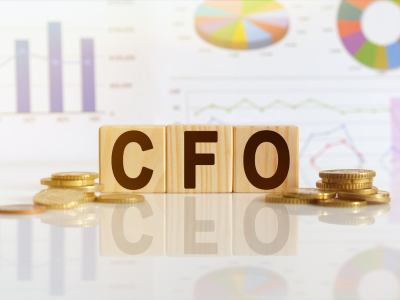 Virtual CFO Services in Mumbai