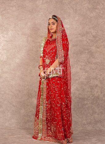 Rajasthani Dress