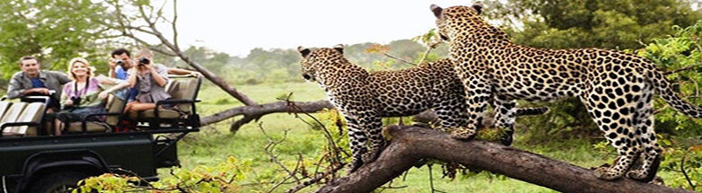 Ranthambore Tiger Weekend Tour