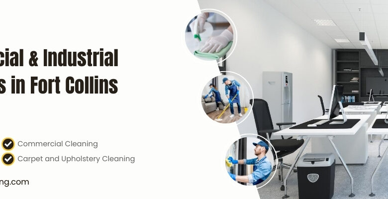 Cleaning Apartment Services