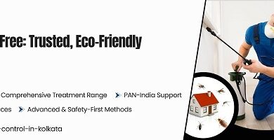 Pest Control Services in Kolkata