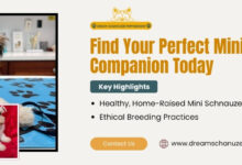 Pet Shipping Companies