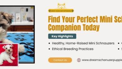 Pet Shipping Companies