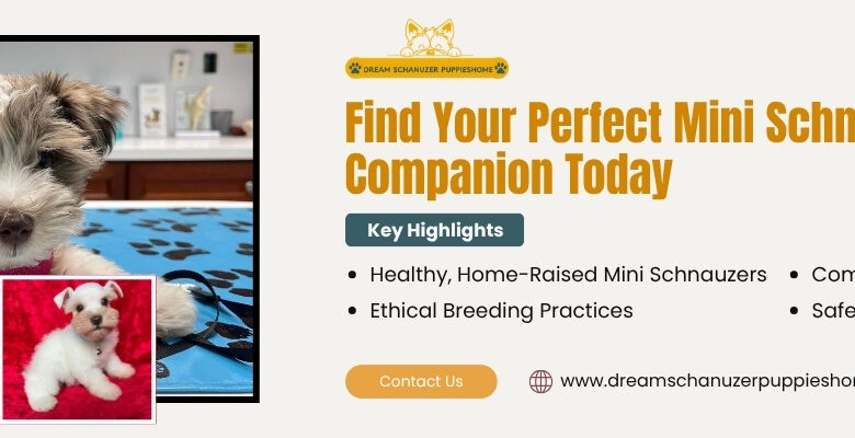 Pet Shipping Companies