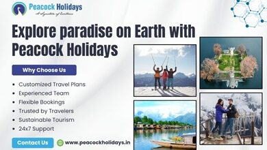 Srinagar Tour Operators