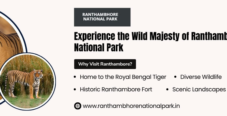 Best time to visit in Ranthambore