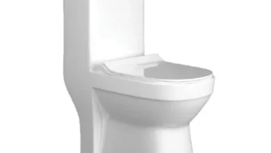 One Piece Toilet