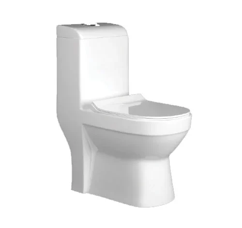 One Piece Toilet