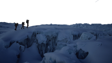 Mountaineer Health Trial