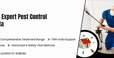 Pest Control in Kolkata