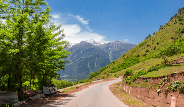 Gulmarg tour packages