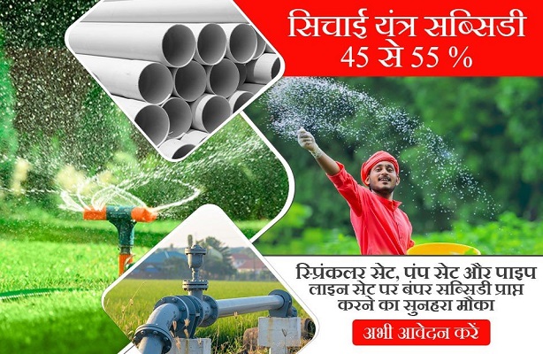 Msme Subsidy
