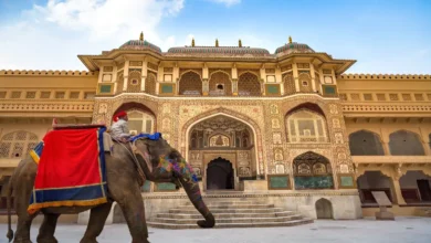 Rajasthan Tour Packages for Family