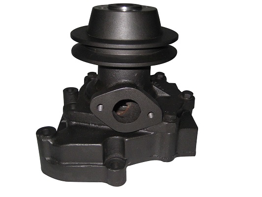 Excavator Water Pump