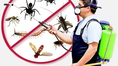 Industrial pest control service in Jaipur