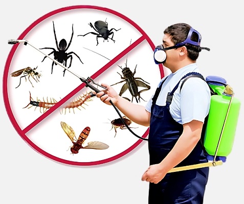 Industrial pest control service in Jaipur
