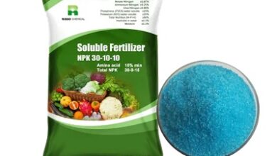 Npk Fertilizer for Sale