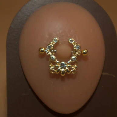 Magnetic Nose Ring Without Piercing
