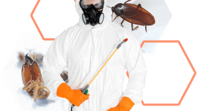 Best Pest Control Services in Jaipur