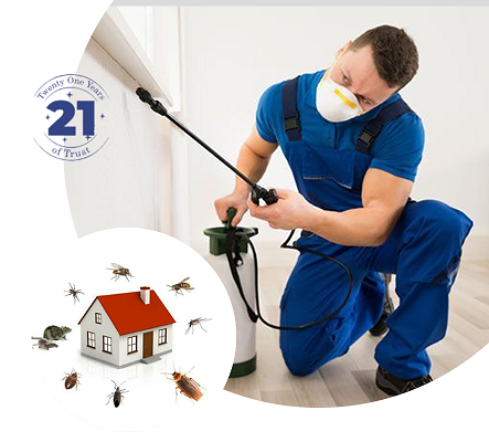 Pest Control in Kolkata