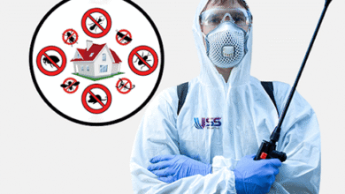 Pest Control in Kolkata
