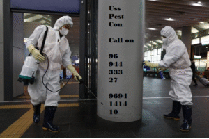 Best Pest Control Services in Kolkata