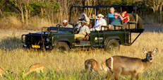 Ranthambore national park safari timings