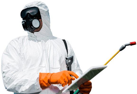 Pest Control Services in Jaipur