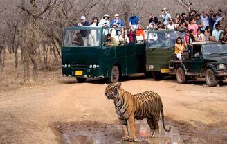 Ranthambore Online Safari Booking