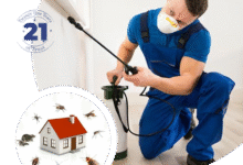 Best Pest Control in Kolkata