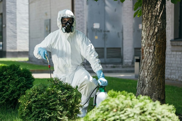 Bedbugs Control in Kolkata