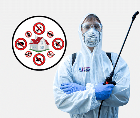Pest Control Service in Kolkata