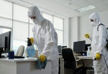 Pest Control Jaipur
