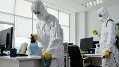 Pest Control Jaipur