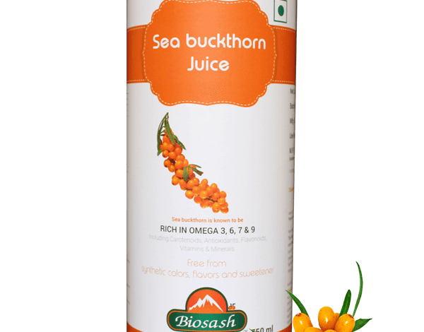 Sea Buckthorn Buy