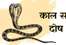कालसर्प दोष पूजा