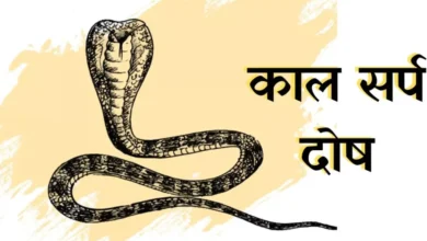 कालसर्प दोष पूजा
