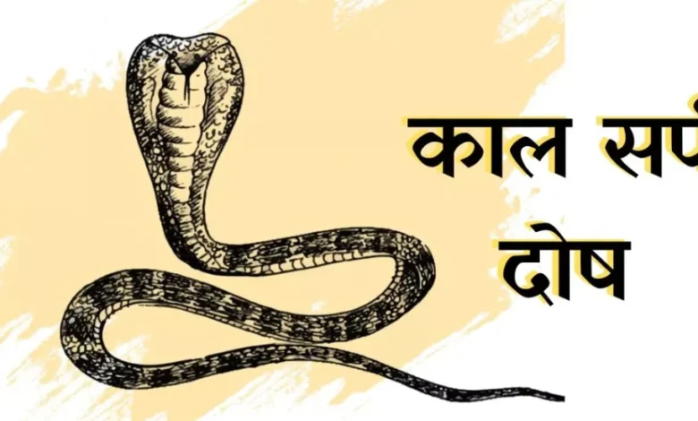 कालसर्प दोष पूजा