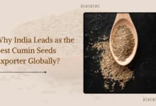 Cumin Seeds Exporters from India