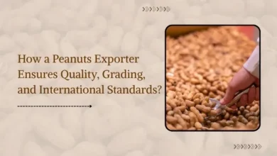 Peanut Exporters in India
