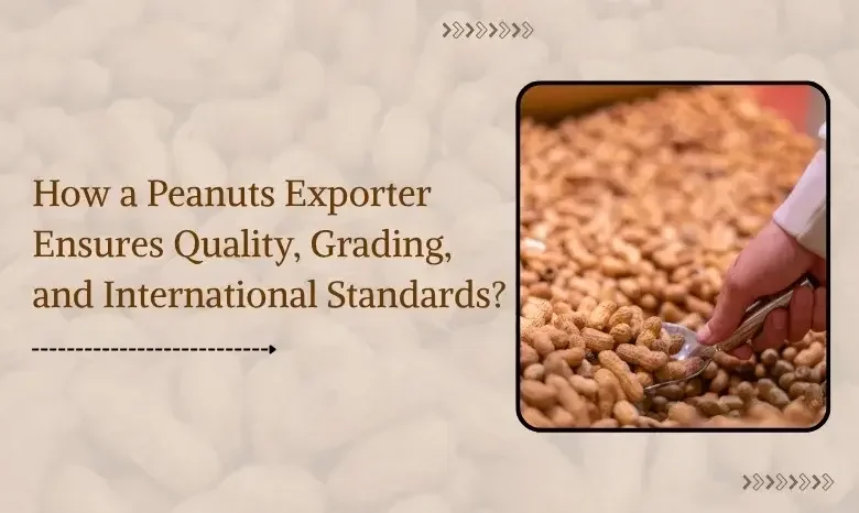 Peanut Exporters in India