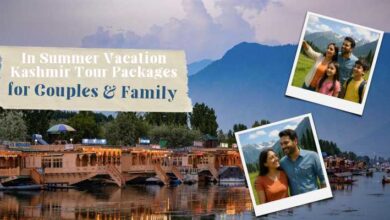 Kashmir Tour Packages from Ahmedabad