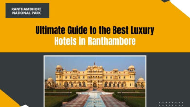 Best hotels in Ranthambore National Park