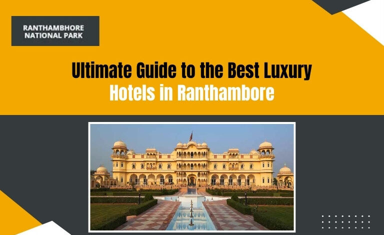 Best hotels in Ranthambore National Park