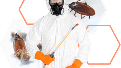 Bedbugs Control in Jaipur