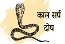 Kaal Sarp Dosh Puja in Ujjain