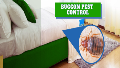 Jaipur Bedbugs Control