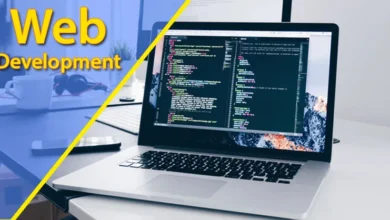 Web Development Services Florida